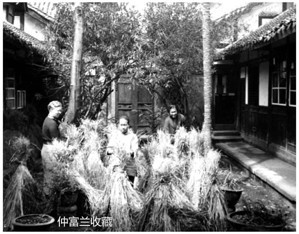 江南春日蚕花闹，富兰春深最是浓